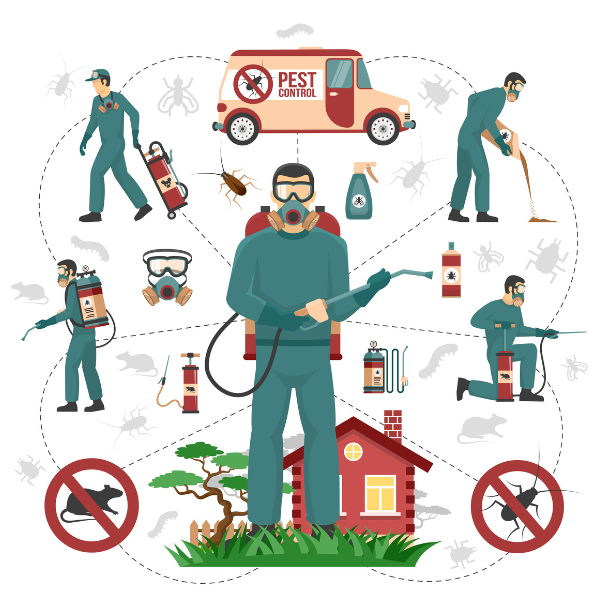 pest control brisbane